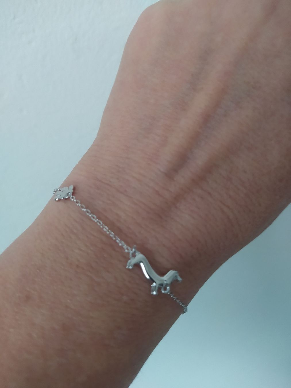 Bracciali & Braccialetti: Elegantes Silberarmband "Dackel" L-15-20cm – Nuovo e nell'imballaggio originale da Möhlin venduto da mik_h72m 4