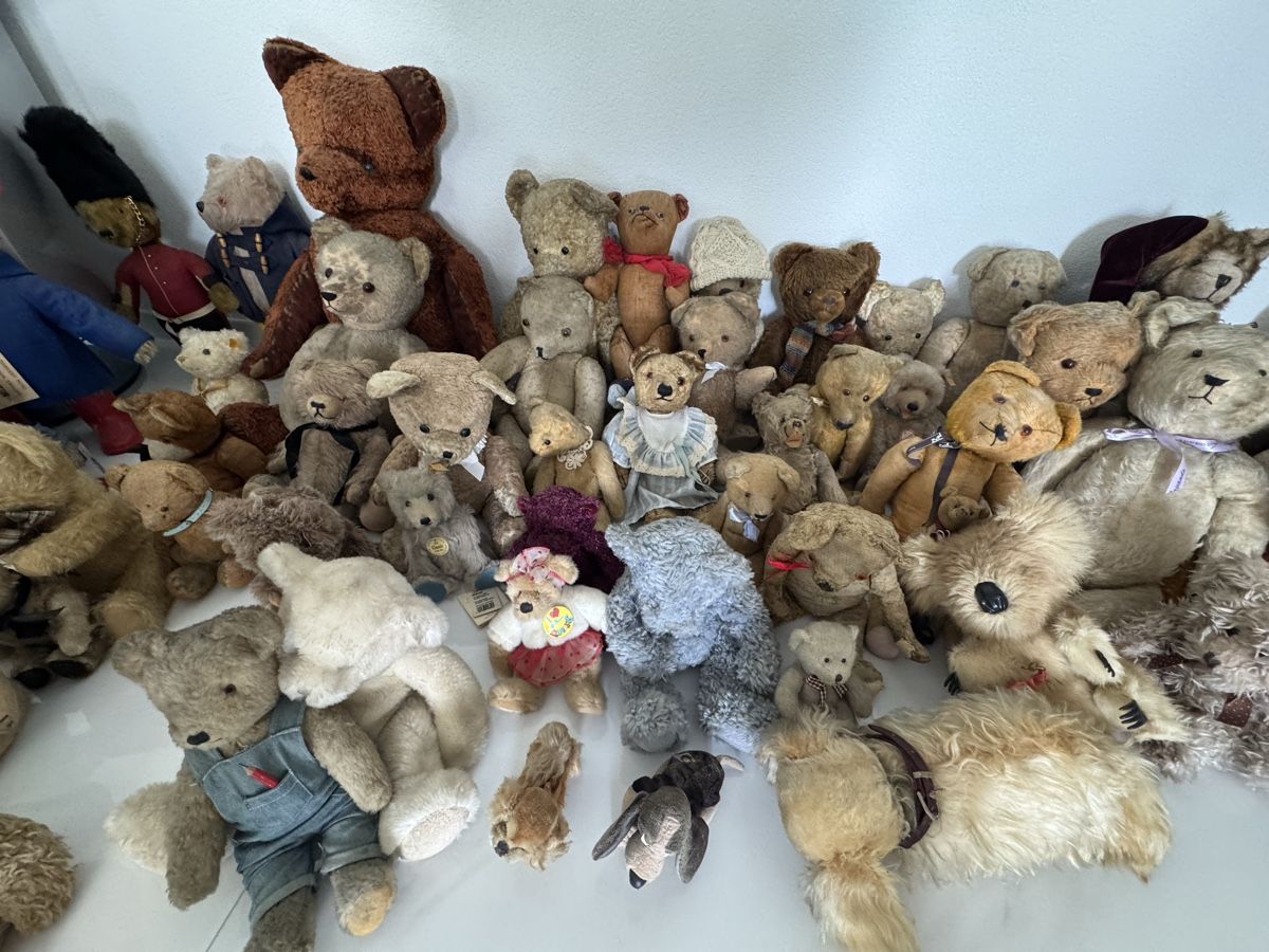 Steiff Giocattoli: Collection de ours en peluche vintage – Usato da St-léonard venduto da LUXURYCOQUOZ 8