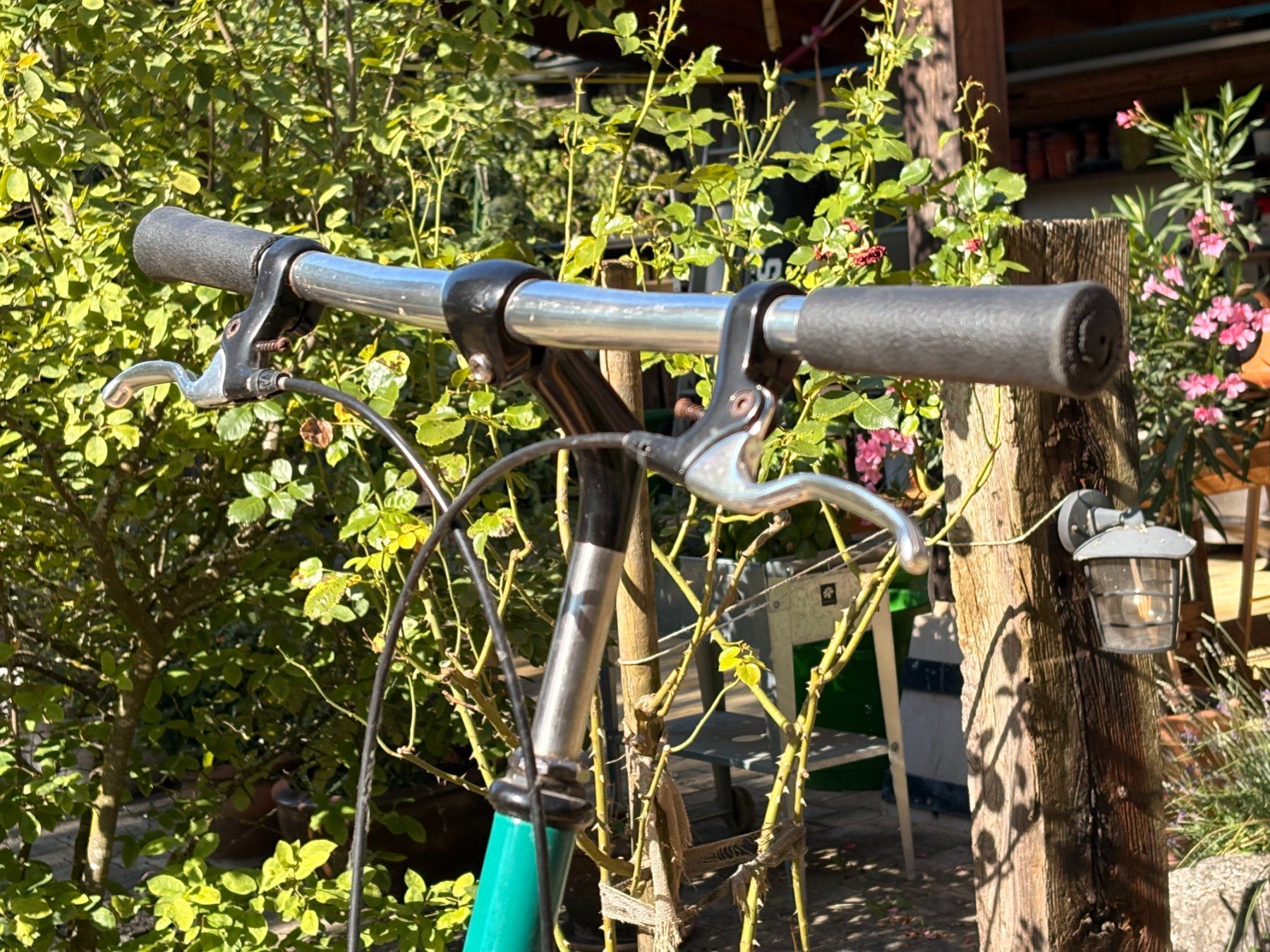 Biciclette: Grünes Kickbike – Usato da Rünenberg venduto da cef_j7hd 6