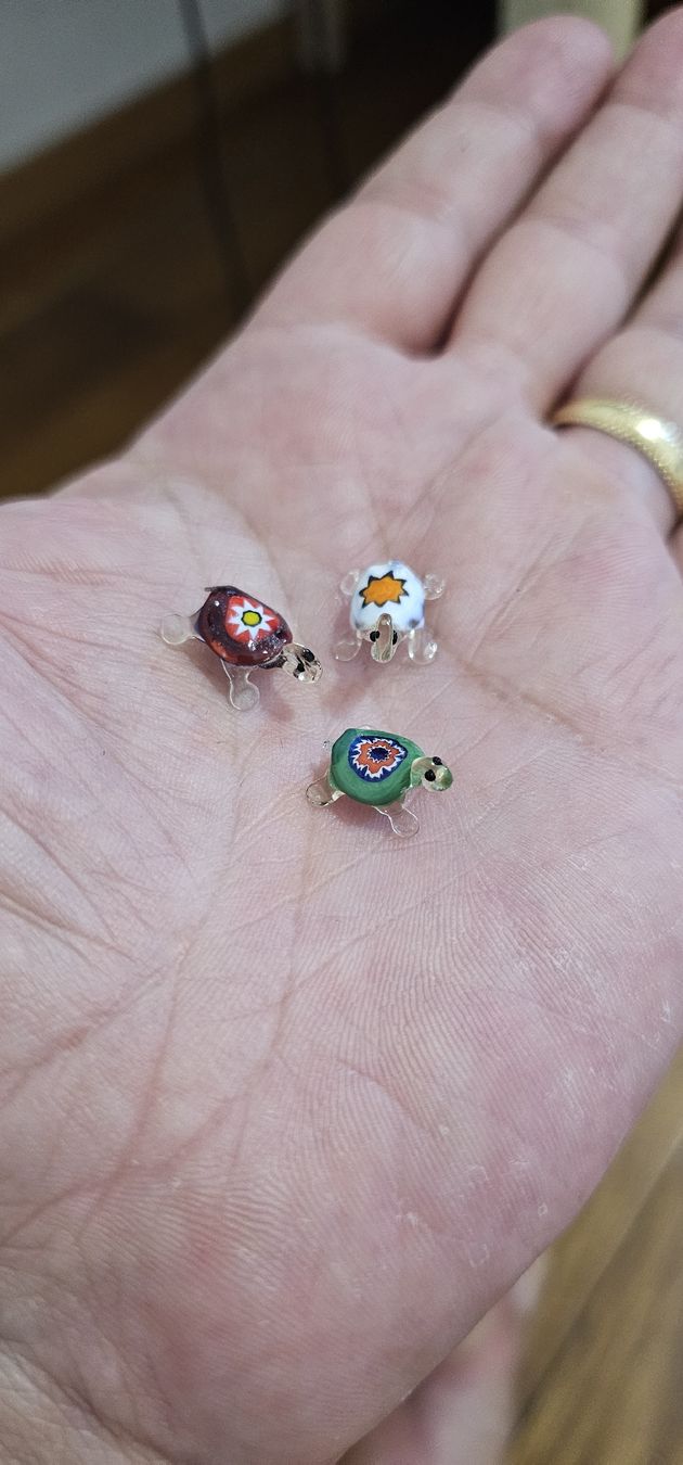 Tutte le decorazioni: tortues soufflee – Nuovo (secondo la descrizione) da Lausanne venduto da Delaquinta88