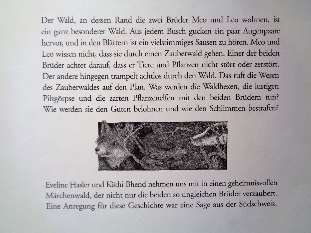Die Nacht im Zauberwald / Bilderbuch ab Fr. 8.- 10