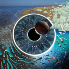 Profile image of cercle