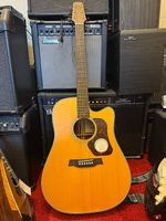 Akustikgitarre mit Tonabnehmer