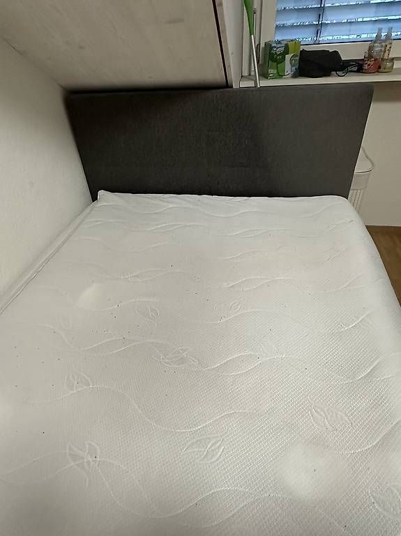 Betten: Boxspringbett – Gebraucht aus Affoltern am Albis von bma_q8nb 2