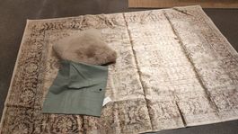 Teppich Vintage Stil beige braun neuwertig