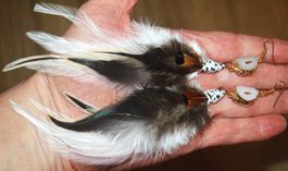 Ohrringe Federn C-631 – 1 Paar