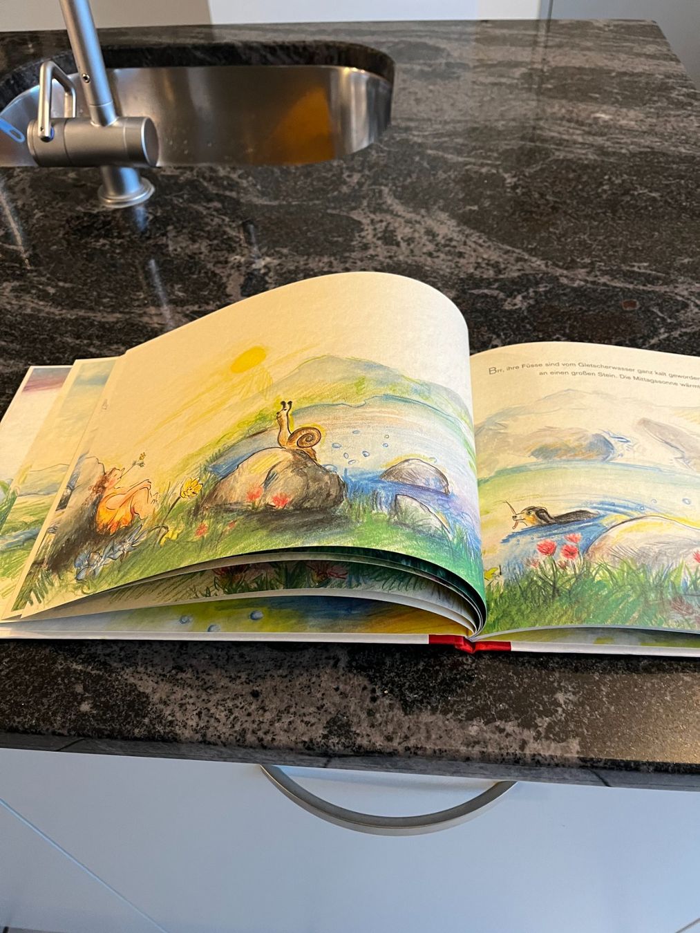 Libri: Kinderbuch, "Zauberkind" Sandra Schuster & Rita Polajnar Top – Usato da Zürich venduto da Roulet 5