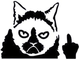🚗😾 Grumpy Cat Aufkleber: Middle Finger Style ✋💫