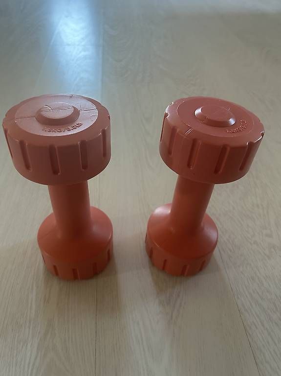 Manubri & Pesi: Halthères 1.5kg x2 – Usato da Founex venduto da cel_9rqq