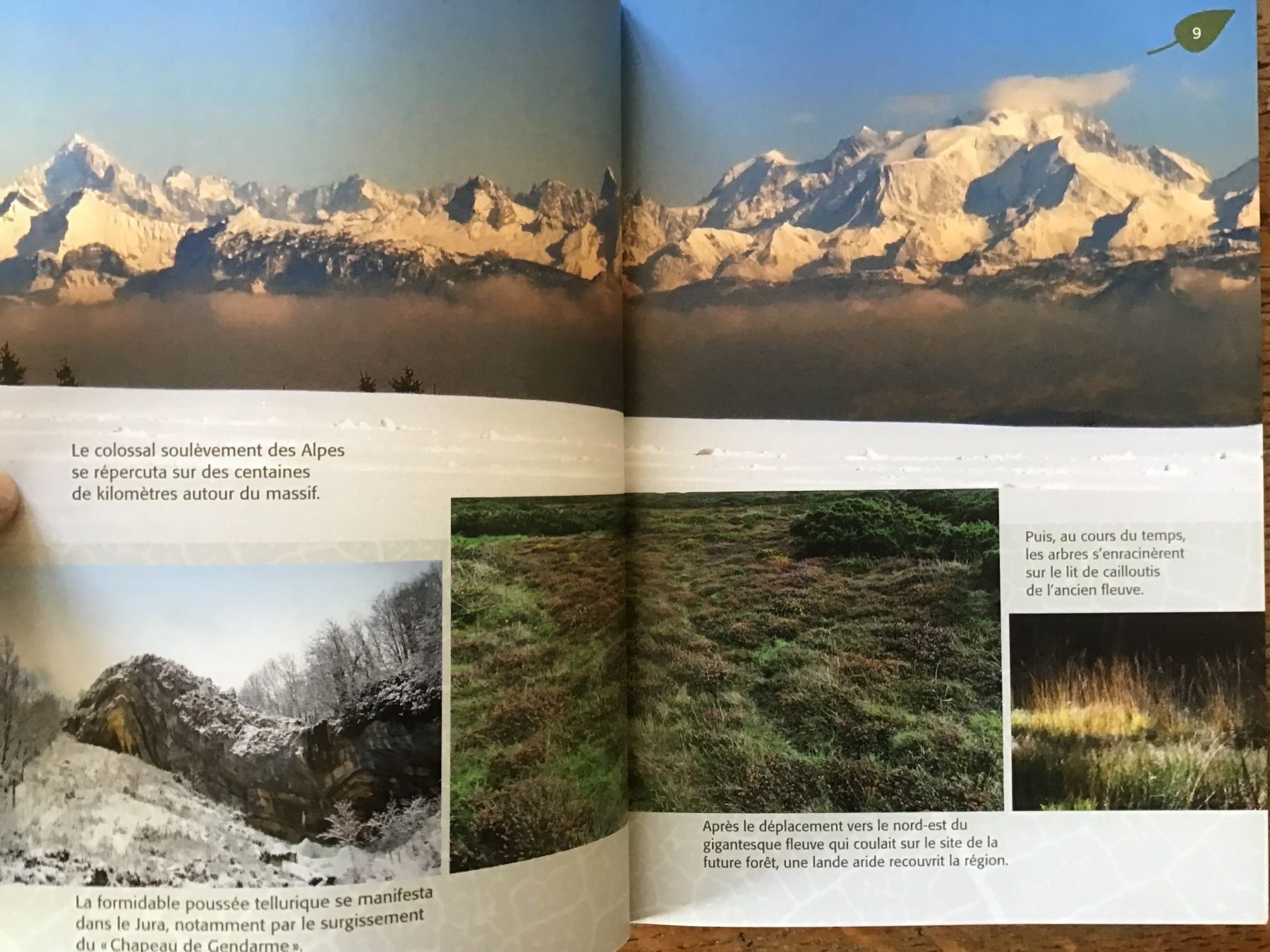 Libri: André Besson, secrets de la forêt – Usato da Fully venduto da Ruby97 2