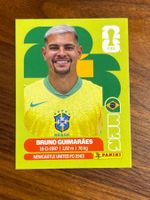 BRA 11 Panini WM26