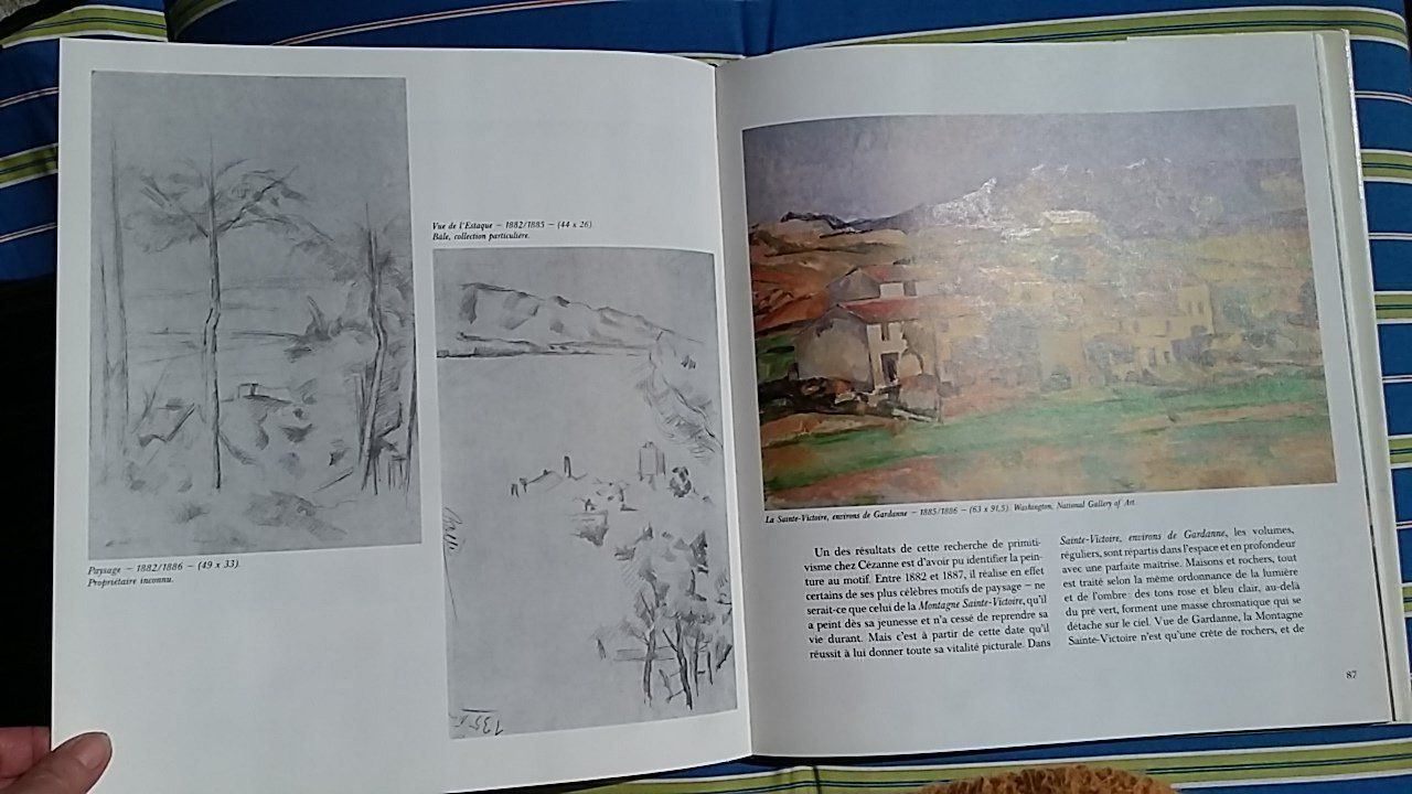 Libri: Cézanne von Lionello Venturi, Skira 1978 – Usato da Zollikerberg venduto da Dogon 4