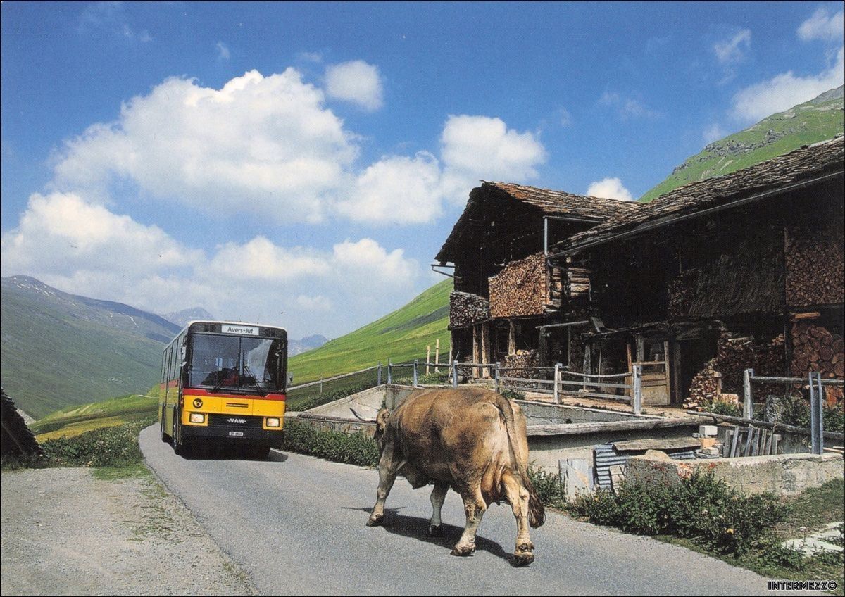 Cartoline postali: Postauto // NAW Hess Avers Juf GR – Usato da Basel venduto da intermezzo12