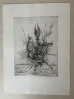 Luigi Crippa, Lithografie 1980