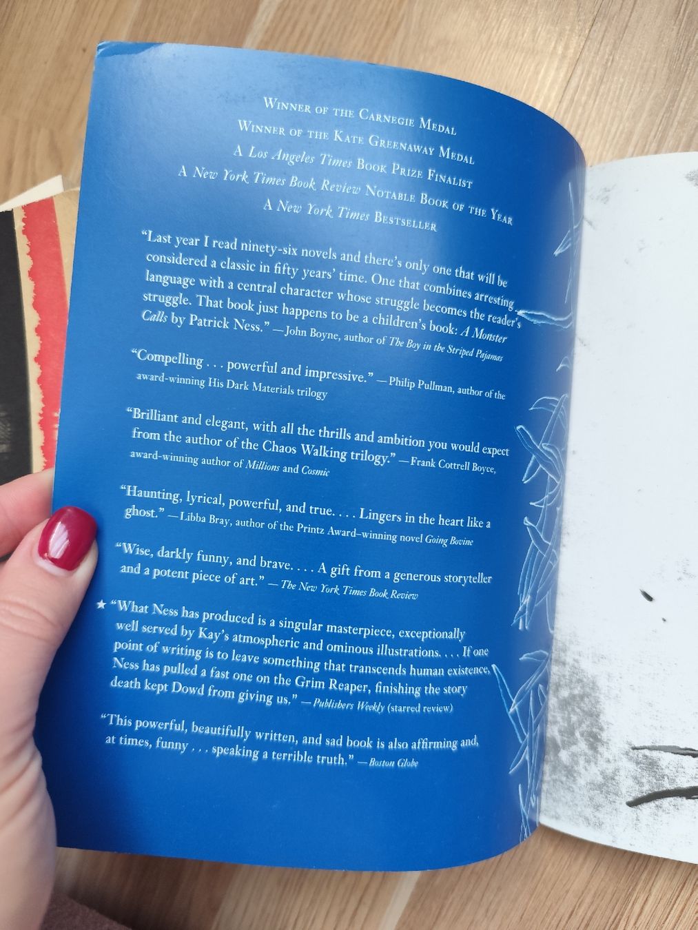 Libri: A Monster Calls by Patrick Ness – Usato da Mägenwil venduto da VintageGirly 8