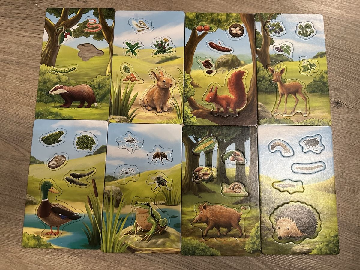 Kosmos Giochi: Kosmos "Fressen Igel Schokoriegel?" – Usato da Zermatt venduto da ZerSusi 1