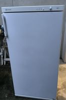 Gefrierschrank / Tiefkühlschrank