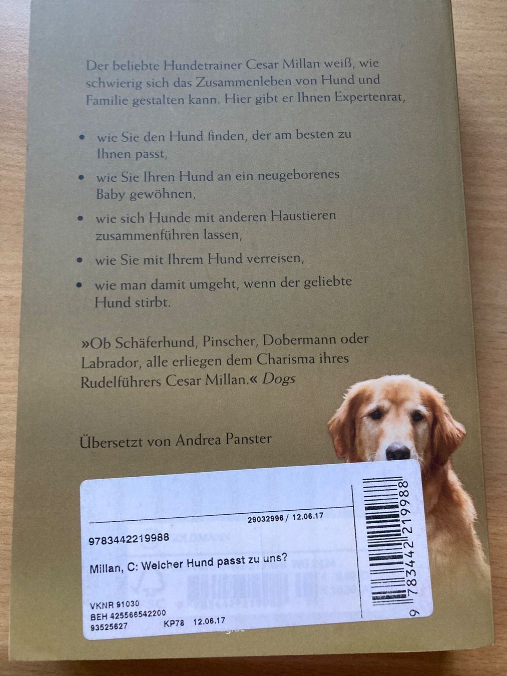 Bücher: Cesar Millan / 2 Ratgeber Hunde – Gebraucht aus Dotzigen von rapunzel03 1