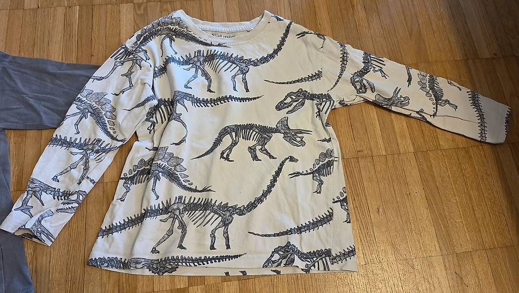 Maglioni & Felpe: 2x Dinosaurierpullover Grösse 110/116 – Usato da Weisslingen venduto da debi1992 1