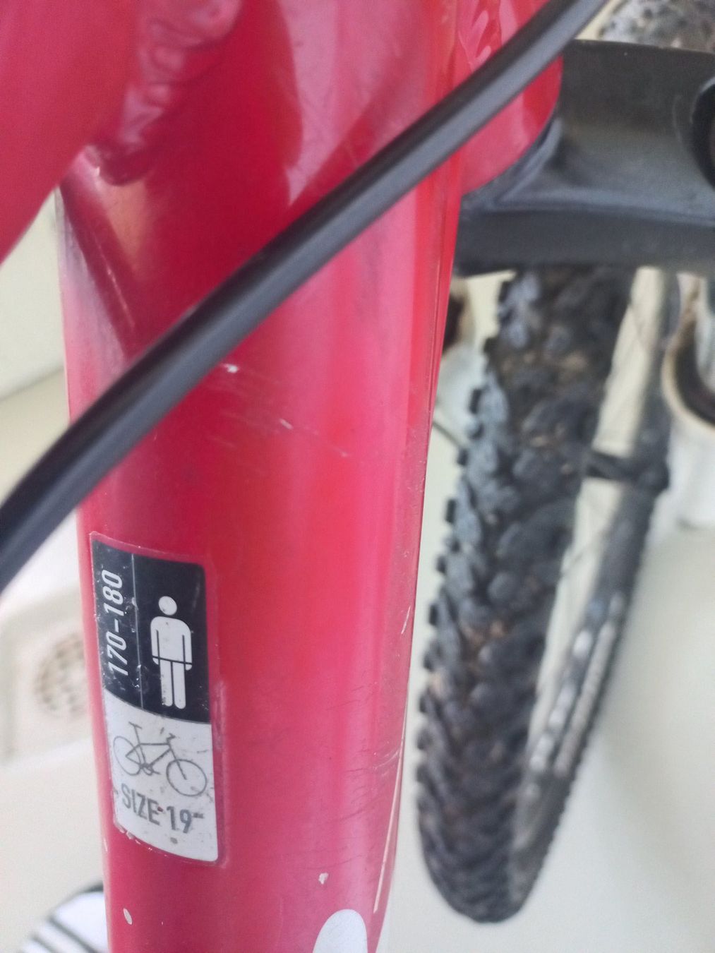 Wheeler Velos: WHEELER Mountainbike - SEHR GUT! CH-VERSAND im BIKEKARTON! – Gebraucht aus Rüthi (Rheintal) von topseller2026 5