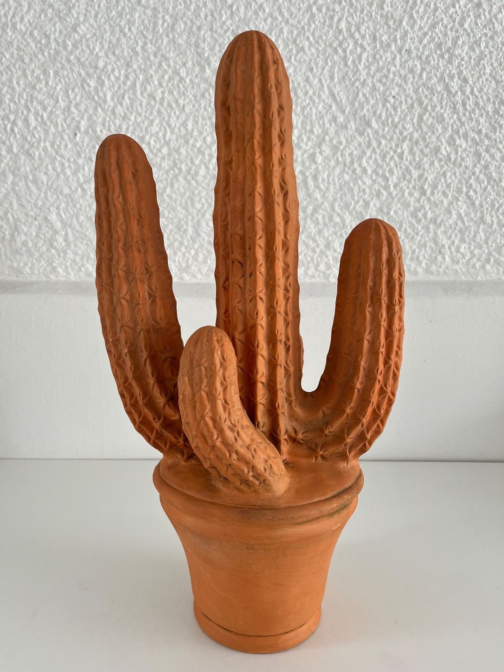 Tutte le decorazioni: Kaktus aus Terracotta – Usato da Wetzikon ZH venduto da seli03