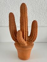 Kaktus aus Terracotta