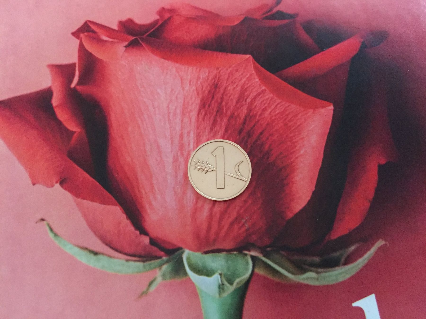 Tutti le monete: 1 Rappen 1975 vz – Usato da Elsau venduto da herbybay 2
