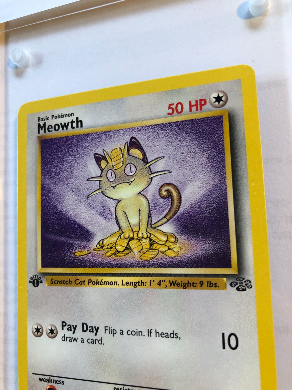 Sammelbilder & Trading cards: Meowth 1st Jungle - NM - ab 1.- – Gebraucht aus Giubiasco von dan_pr8b 3