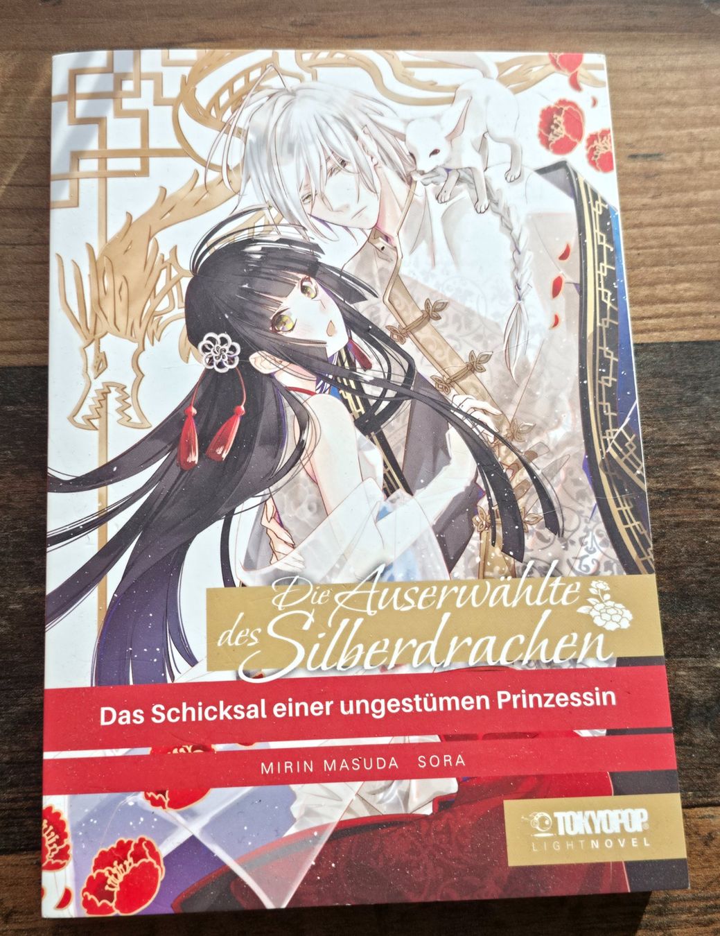 Libri: Die Auserwählte des Silberdrachen Light Novel – Usato da Embrach venduto da Jeanne_85
