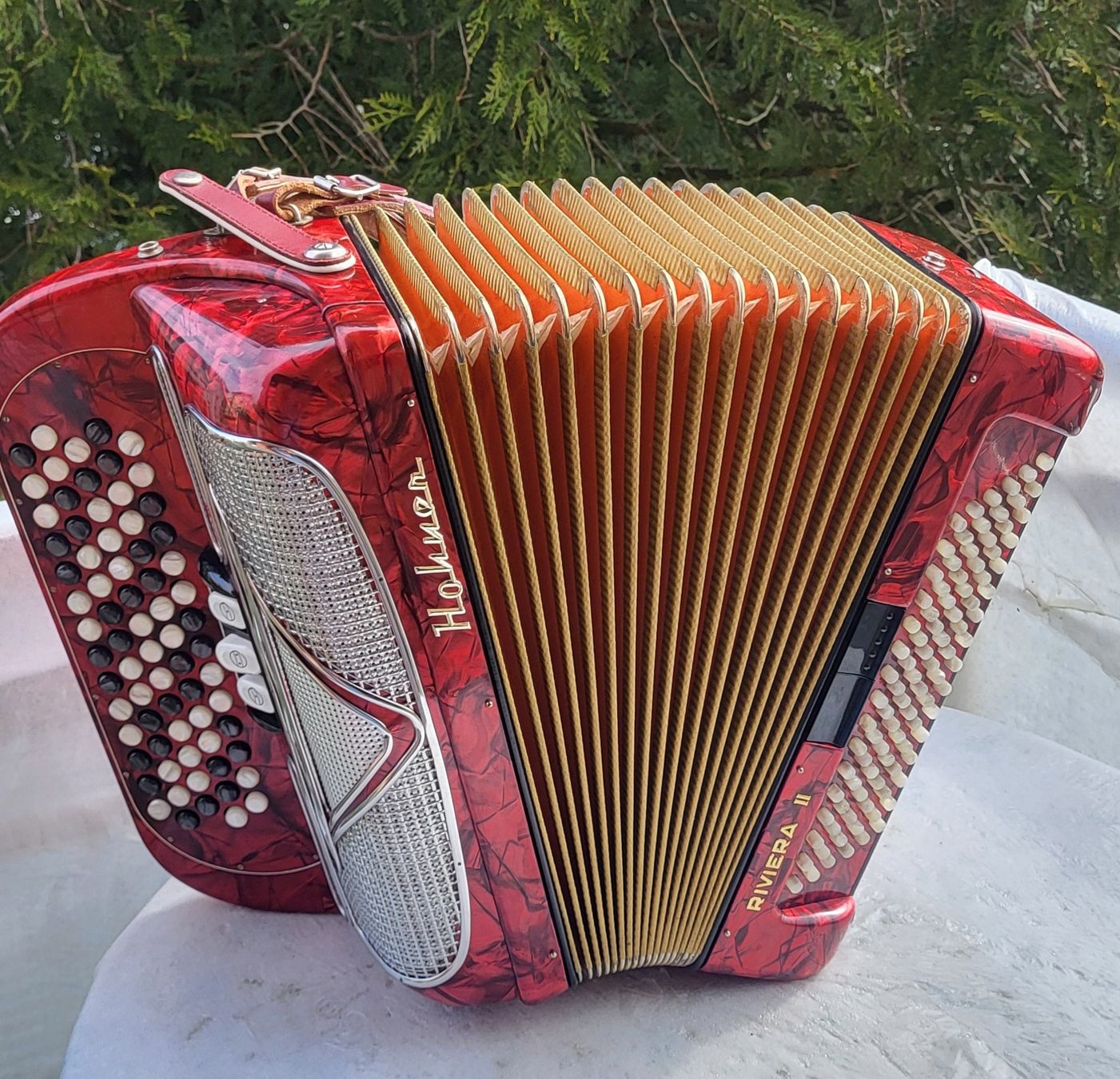 Musikinstrumente: Accordéon hohner Riviera II – Gebraucht aus Penthalaz von EvandroLuz 2