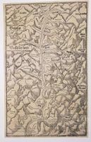 Wallis Holzschnittkarte von Münster um 1550
