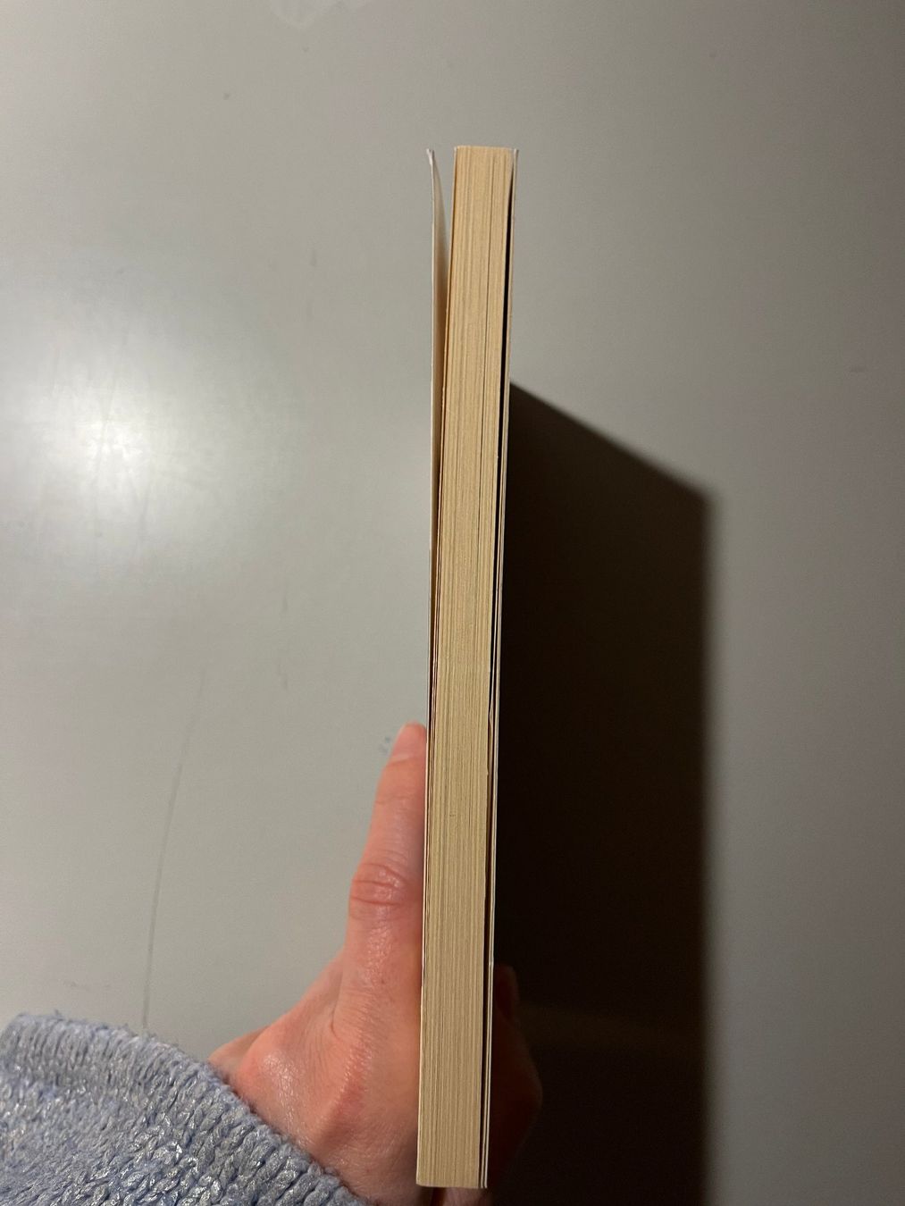 Libri: Stefan Zweig: Schachnovelle – Usato da glattfelden venduto da kimiaxel 2
