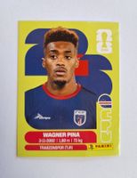 Panini Wagner Pina CPV 7