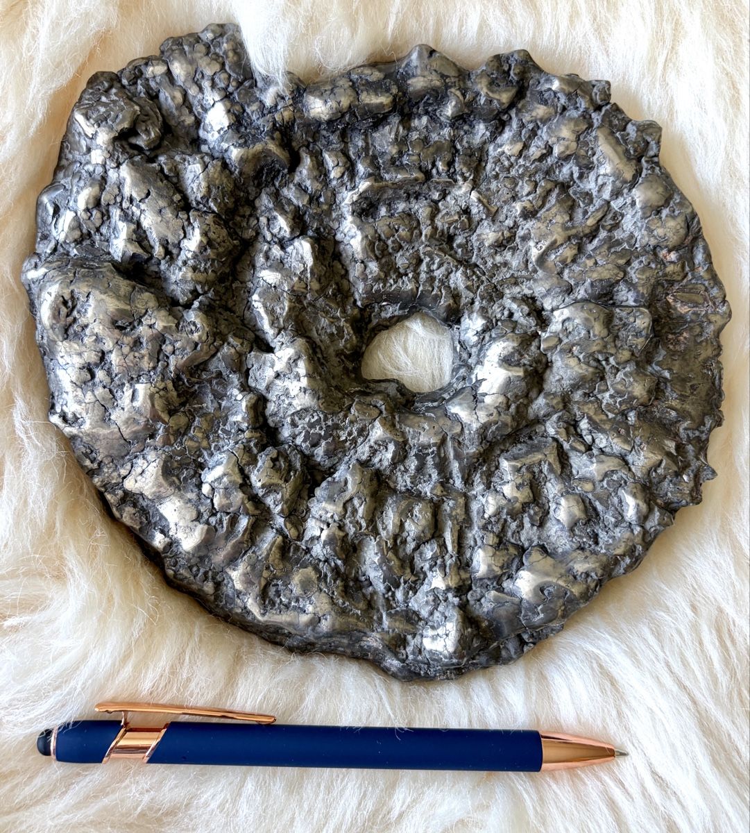 Fossili: Ammonit pyritisiert. Jura Zeit. – Nuovo (secondo la descrizione) da Adliswil venduto da Moroz173 1