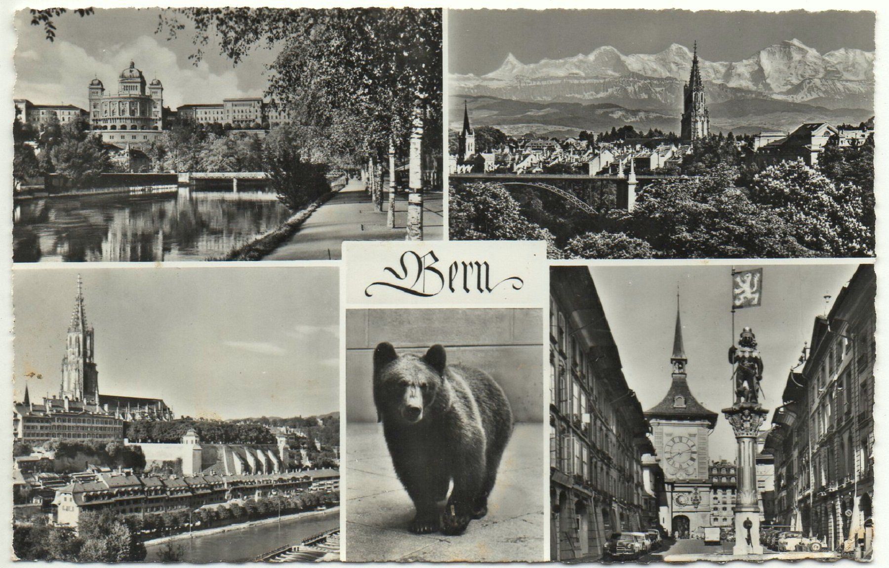 Ansichtskarten: BERN mit Bär gel. Feldpost – Gebraucht aus Jona von philajona
