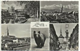 BERN mit Bär gel. Feldpost