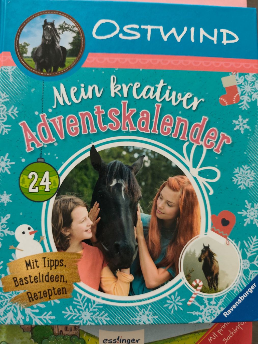 Bücher: Kinderbücher für Klein bis Schul-Alter – Gebraucht aus Schaffhausen von KlausSH01 7