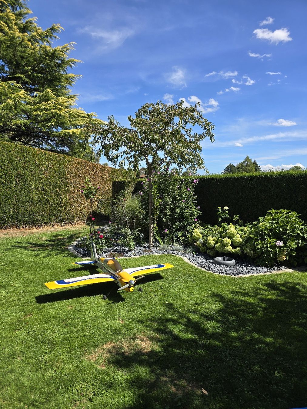 RC Modellbau: Avion rc Adrenaline 2m – Gebraucht aus Froideville von tra_n6rb 4