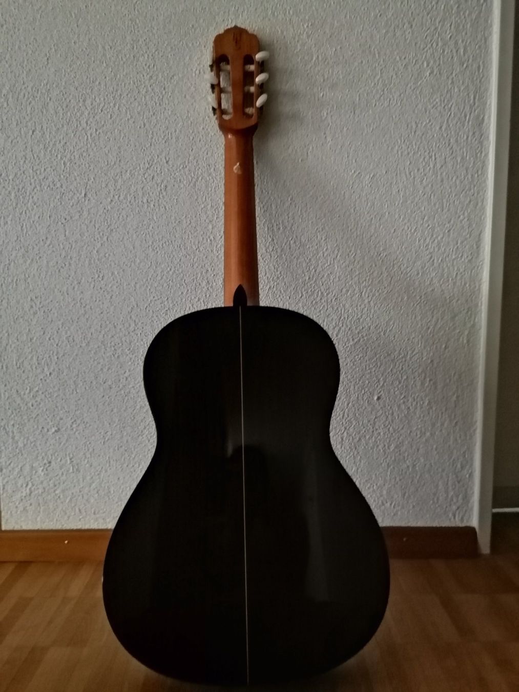 Strumenti musicali: Gitarre – Usato da Rafz venduto da giasim 1