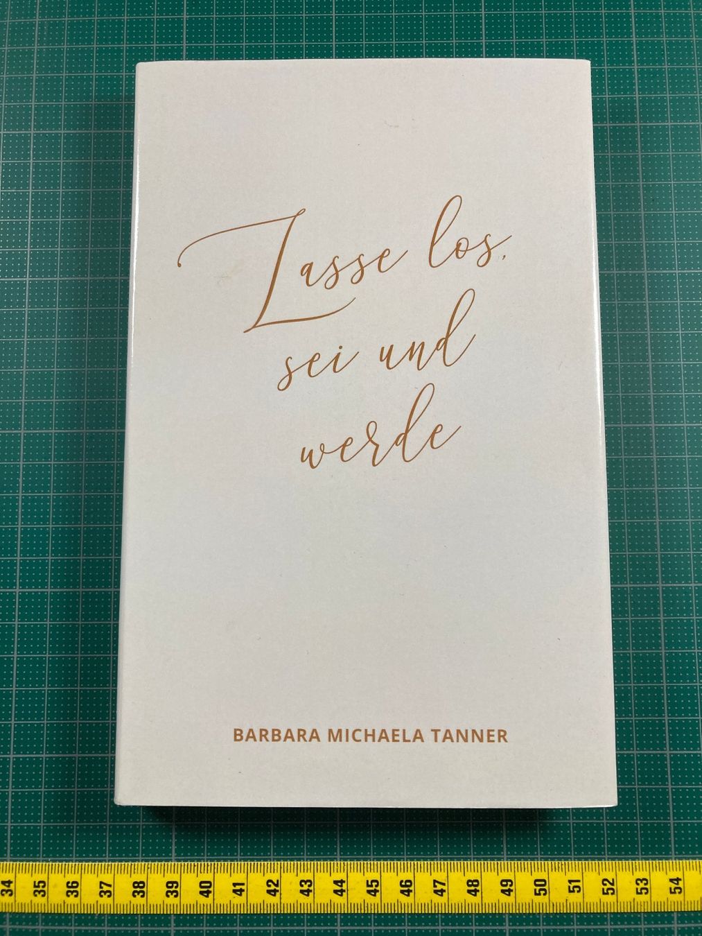 Bücher: Barbara Michaela Tanner: Lasse los, sei und werde – Gebraucht aus Lenzburg von fh1