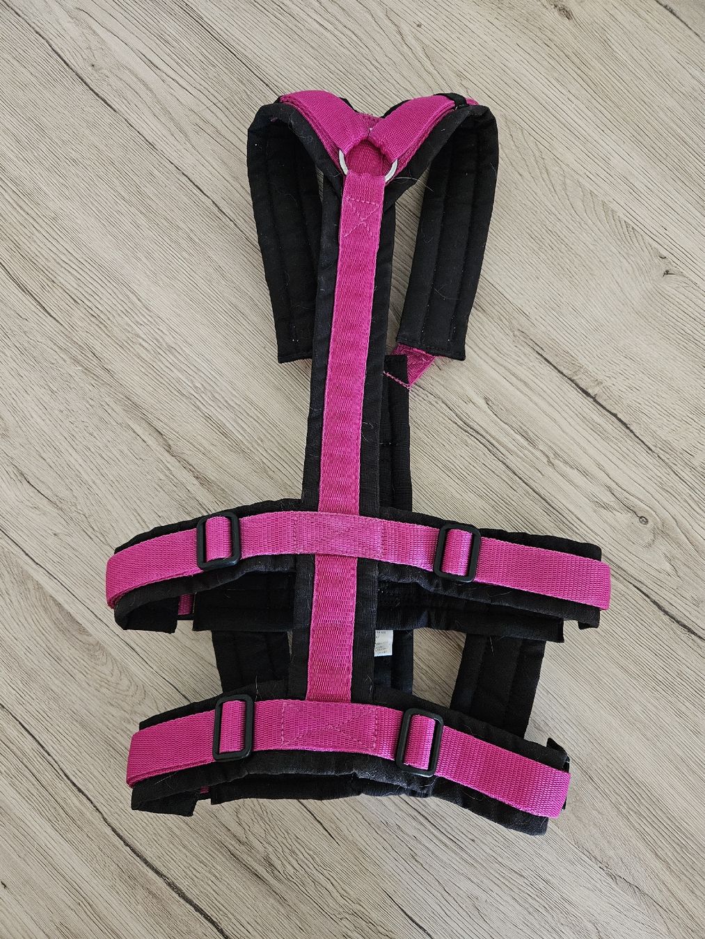 Anny X Leine & Halsband: Anny X Safety M – Gebraucht aus Bronschhofen von Savi_48 1