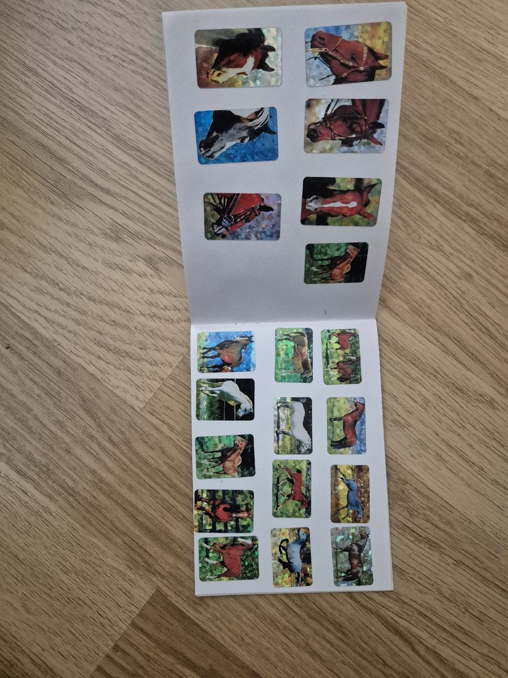Album: My Sticker Album Pferde – Usato da Langenthal venduto da Polarisstern 2