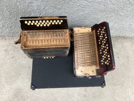 Zwei Akkordeons Hohner