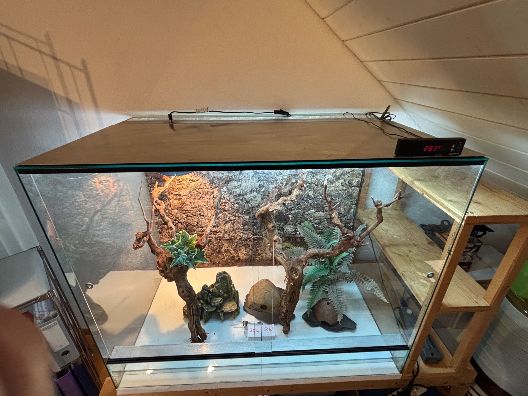 Terrarium: Glas Terrarium inklusive Zubehör – Gebraucht aus Lyss von klopferli9 3