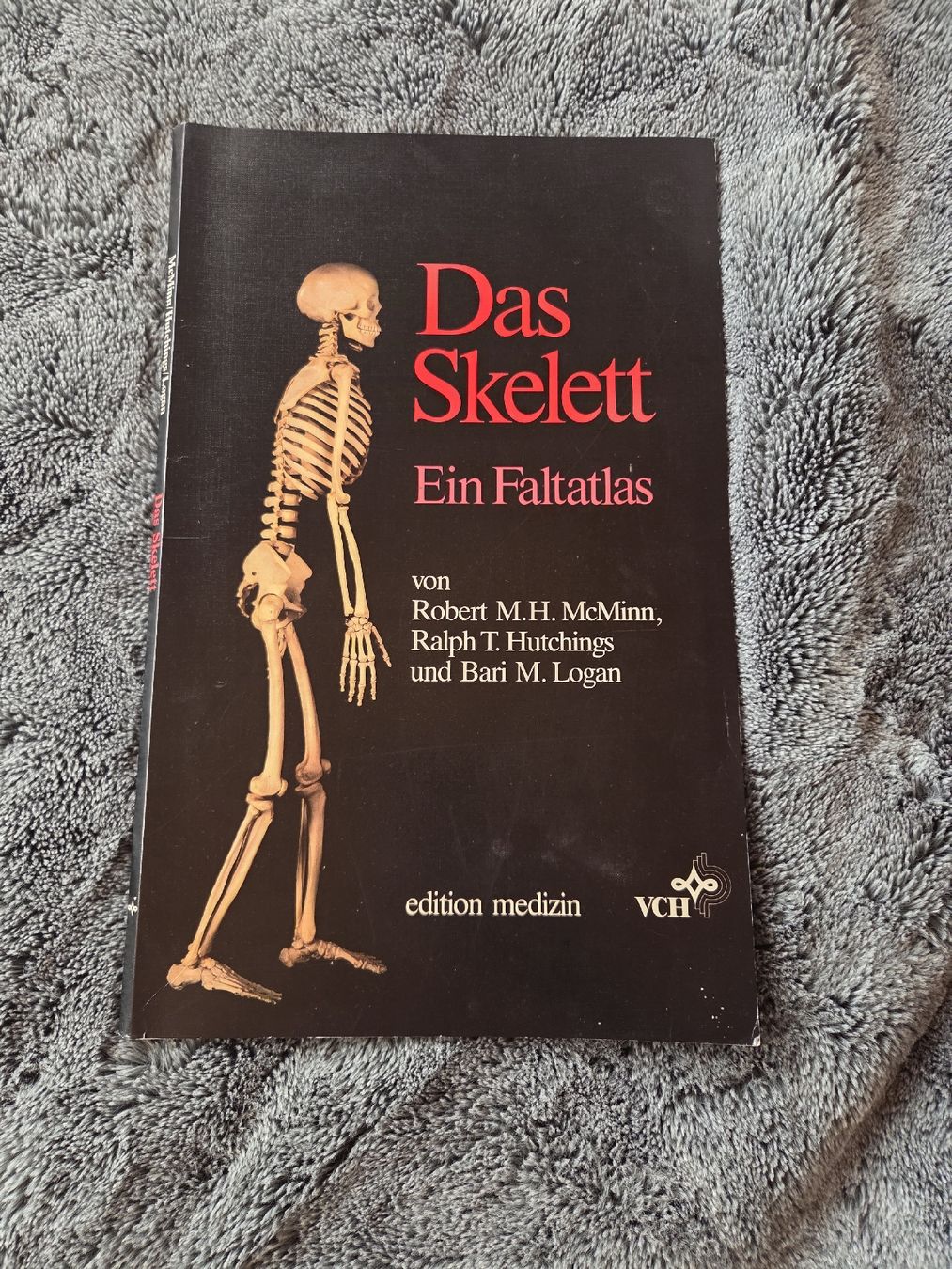 Libri: Das Skelett Faltatlas – Usato da Bühler venduto da ros_5qfr