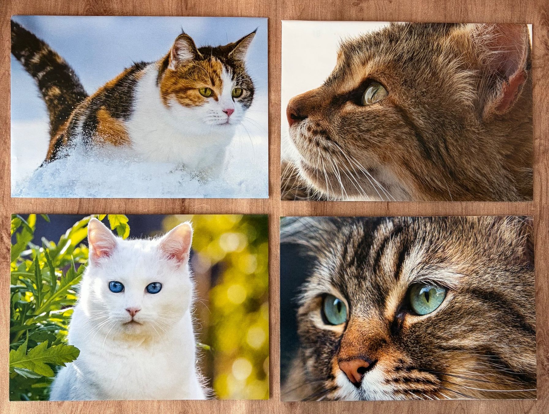 Papiere: 4 C6-Couverts im Set: Katzen / Upcycling – Neu (gemäss Beschreibung) aus Baar von Schreibseele