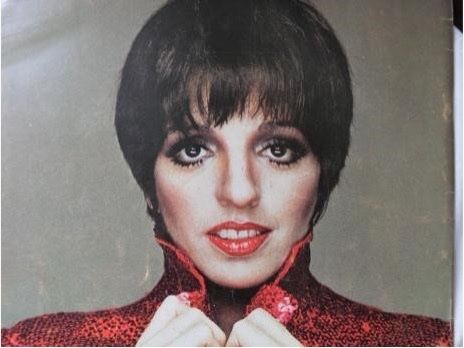 LIZA MINELLI | Kaufen auf Ricardo