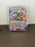Pokémon Terapagos ex 145/193 RR Japanisch - Neu / Mint 