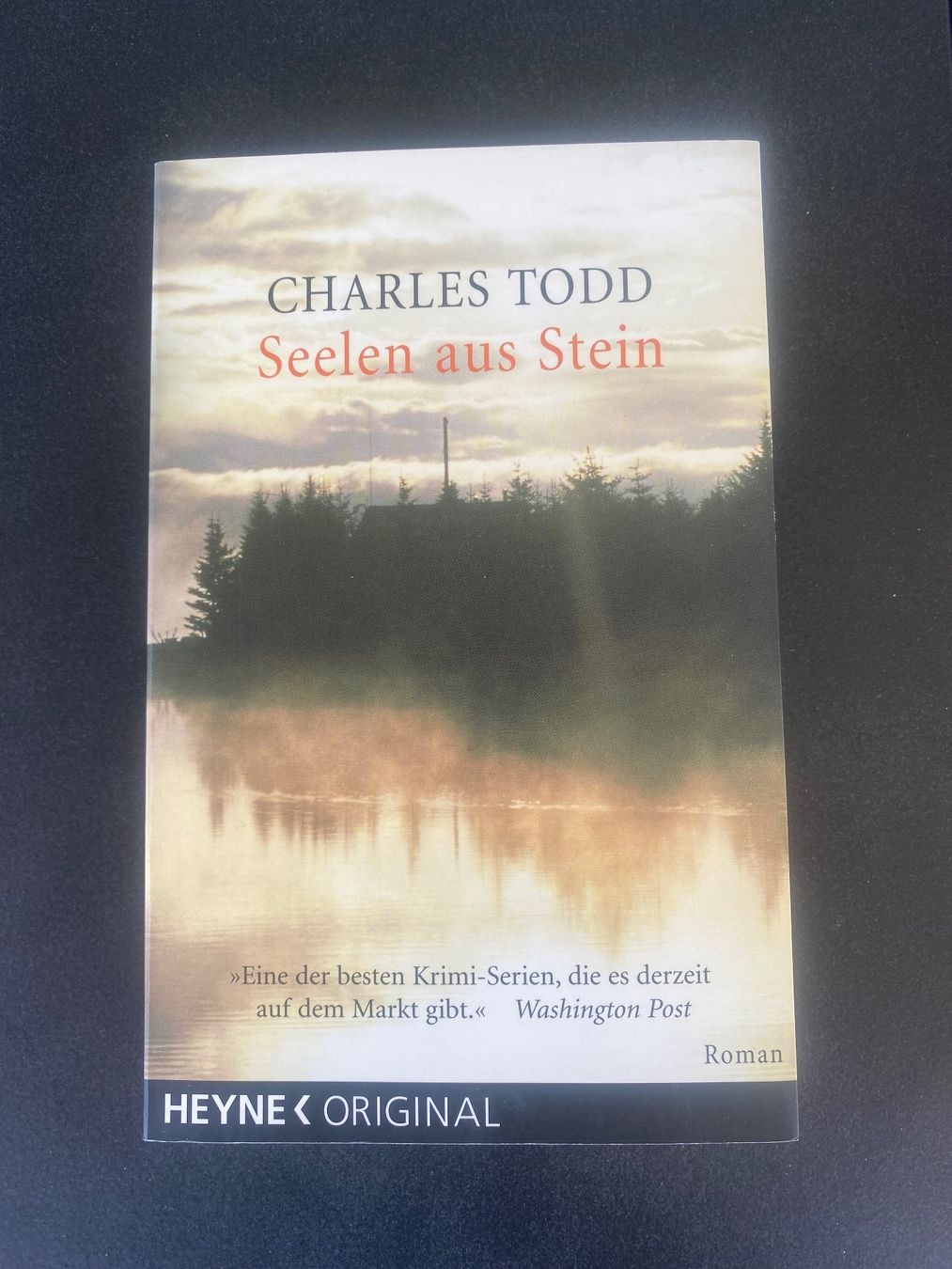 Libri: Charles Todd Seelen aus Stein – Usato da Tagelswangen venduto da Laurastern1