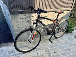 Vélo B-Twin adulte